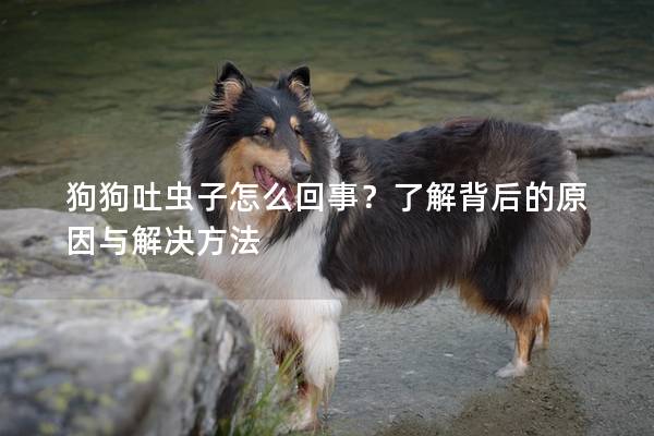 狗狗吐虫子怎么回事？了解背后的原因与解决方法