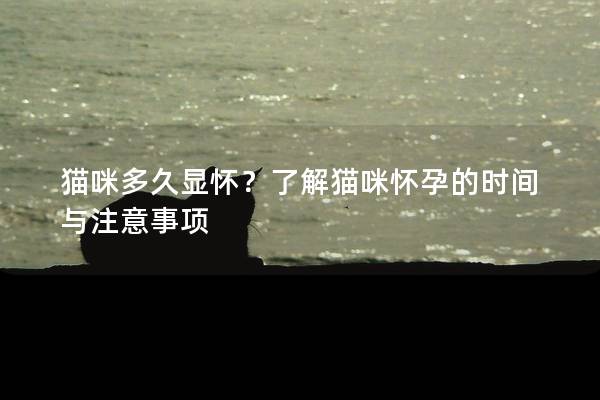 猫咪多久显怀？了解猫咪怀孕的时间与注意事项