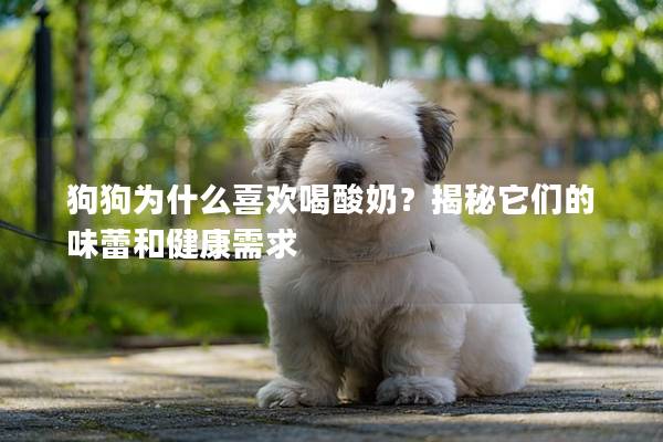 狗狗为什么喜欢喝酸奶？揭秘它们的味蕾和健康需求
