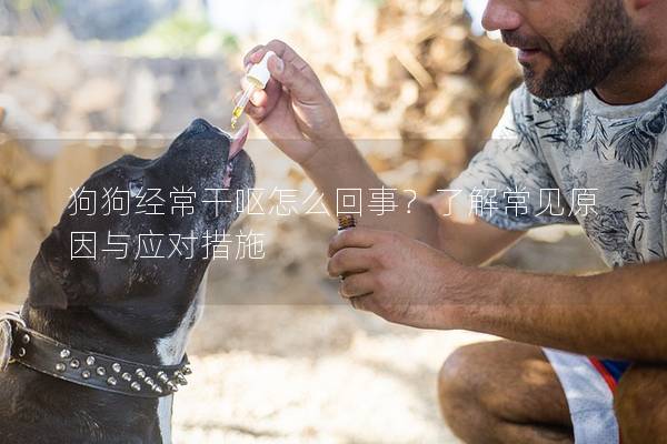 狗狗经常干呕怎么回事？了解常见原因与应对措施