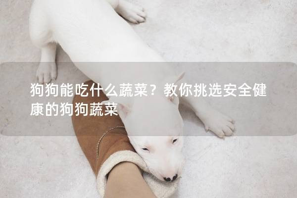 狗狗能吃什么蔬菜？教你挑选安全健康的狗狗蔬菜
