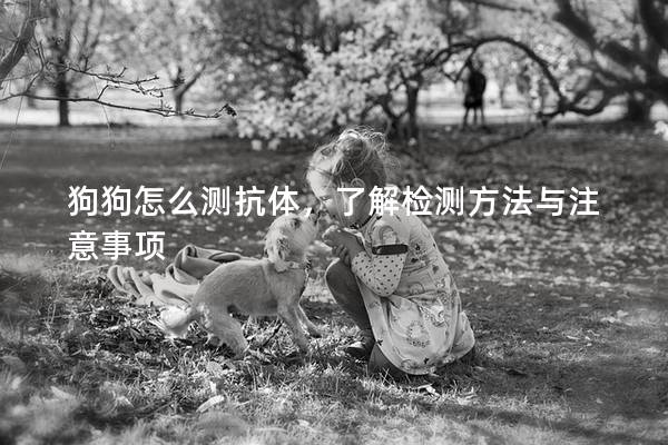 狗狗怎么测抗体，了解检测方法与注意事项