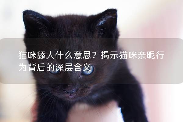 猫咪舔人什么意思？揭示猫咪亲昵行为背后的深层含义