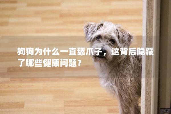 狗狗为什么一直舔爪子，这背后隐藏了哪些健康问题？
