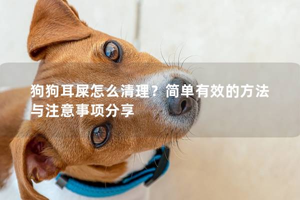 狗狗耳屎怎么清理？简单有效的方法与注意事项分享