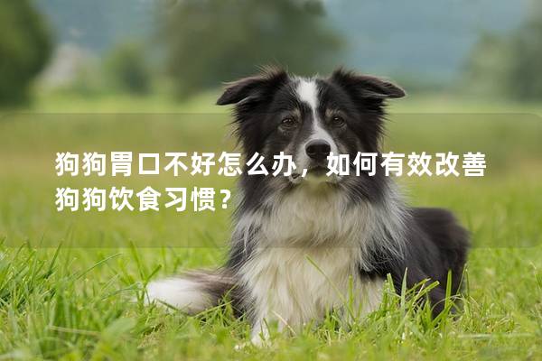 狗狗胃口不好怎么办，如何有效改善狗狗饮食习惯？