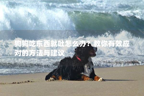 狗狗吃东西就吐怎么办？教你有效应对的方法与建议