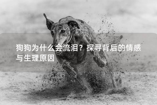 狗狗为什么会流泪？探寻背后的情感与生理原因