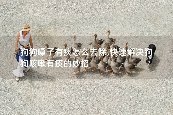 狗狗嗓子有痰怎么去除,快速解决狗<a href=