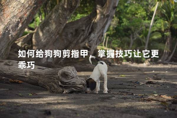 如何给狗狗剪指甲，掌握技巧让它更乖巧