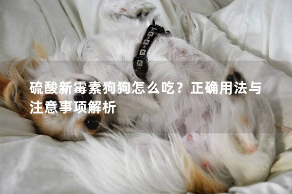 硫酸新霉素狗狗怎么吃？正确用法与注意事项解析