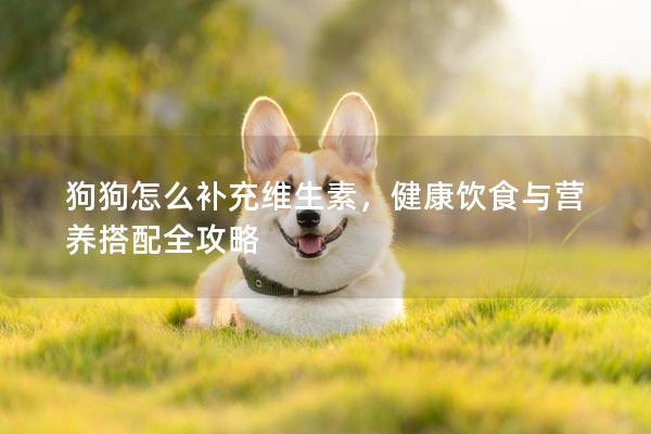 狗狗怎么补充维生素，健康饮食与营养搭配全攻略