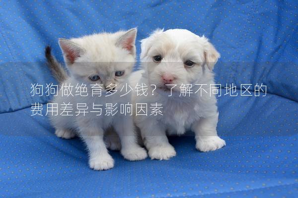 狗狗做绝育多少钱？了解不同地区的费用差异与影响因素
