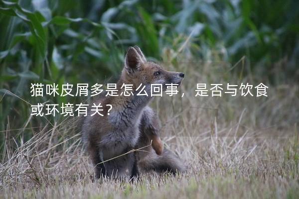 猫咪皮屑多是怎么回事，是否与饮食或环境有关？