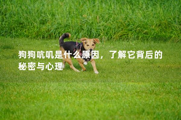 狗狗吭叽是什么原因，了解它背后的秘密与心理