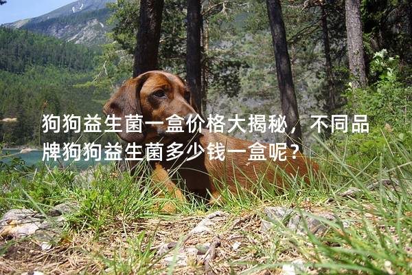 狗狗益生菌一盒价格大揭秘，不同品牌狗狗益生菌多少钱一盒呢？