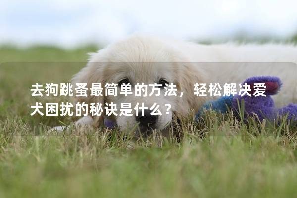 去狗跳蚤最简单的方法，轻松解决爱犬困扰的秘诀是什么？