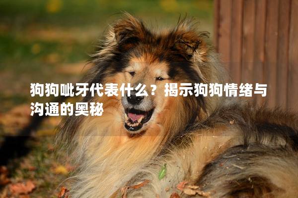 狗狗呲牙代表什么？揭示狗狗情绪与沟通的奥秘