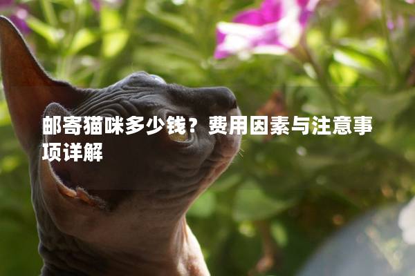 邮寄猫咪多少钱？费用因素与注意事项详解