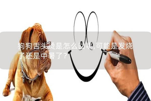 狗狗舌头烫是怎么回事,可能是发烧了还是中暑了？
