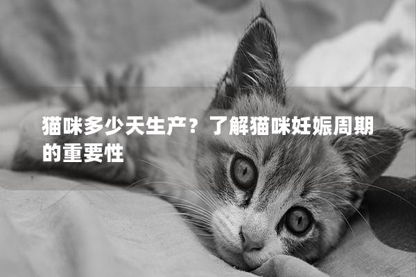 猫咪多少天生产？了解猫咪妊娠周期的重要性