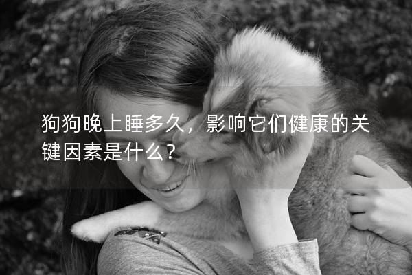 狗狗晚上睡多久，影响它们健康的关键因素是什么？