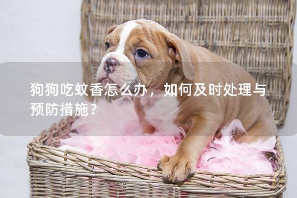 狗狗吃蚊香怎么办，如何及时处理与预防措施？