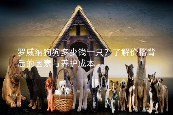 罗威纳狗狗多少钱一只？了解价格背后的因素与养护成本