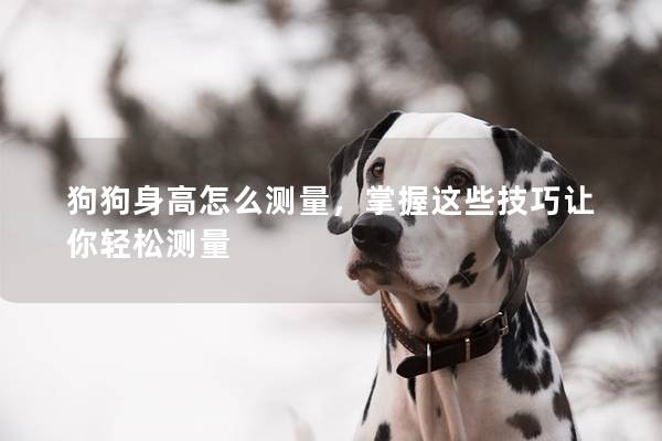狗狗身高怎么测量，掌握这些技巧让你轻松测量