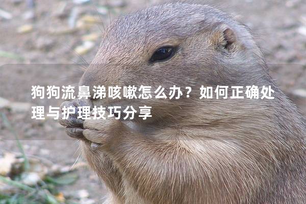 狗狗流鼻涕咳嗽怎么办？如何正确处理与护理技巧分享