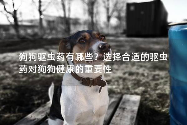 狗狗驱虫药有哪些？选择合适的驱虫药对狗狗健康的重要性