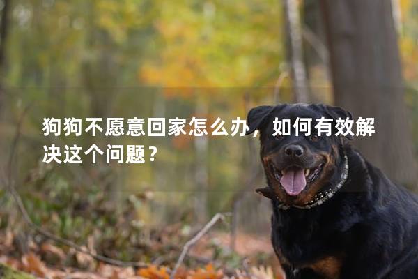 狗狗不愿意回家怎么办，如何有效解决这个问题？