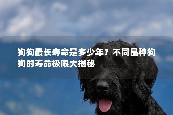 狗狗最长寿命是多少年？不同品种狗狗的寿命极限大揭秘