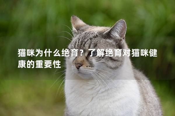 猫咪为什么绝育？了解绝育对猫咪健康的重要性