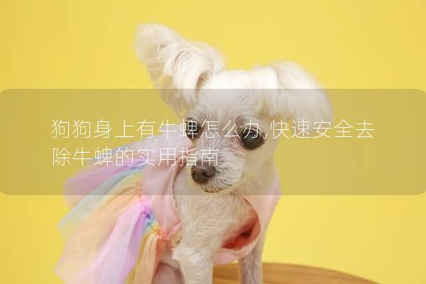 狗狗身上有牛蜱怎么办,快速安全去除牛蜱的实用指南