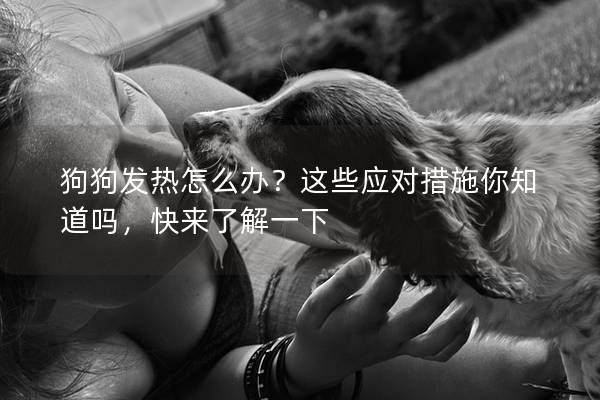 狗狗发热怎么办？这些应对措施你知道吗，快来了解一下