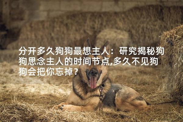 分开多久狗狗最想主人：研究揭秘狗狗思念主人的时间节点,多久不见狗狗会把你忘掉？