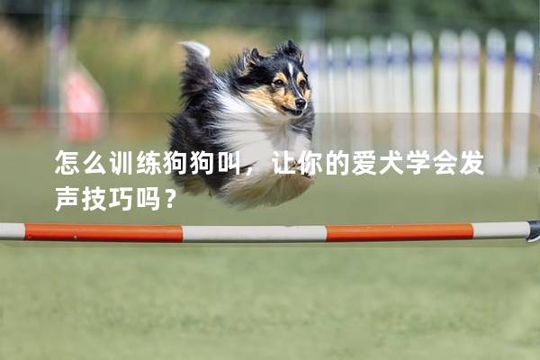 怎么训练狗狗叫，让你的爱犬学会发声技巧吗？