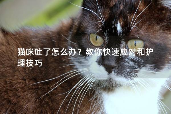 猫咪吐了怎么办？教你快速应对和护理技巧