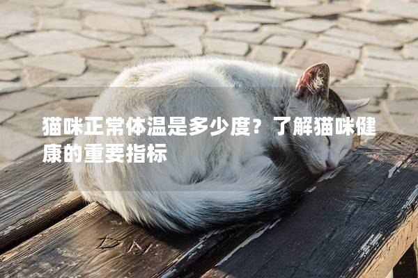 猫咪正常体温是多少度？了解猫咪健康的重要指标