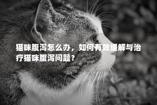 猫咪腹泻怎么办，如何有效缓解与治疗猫咪腹泻问题？