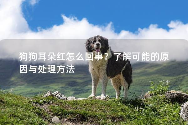 狗狗耳朵红怎么回事？了解可能的原因与处理方法