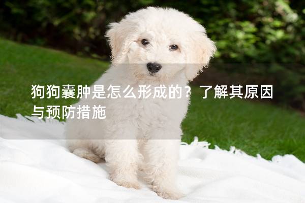 狗狗囊肿是怎么形成的？了解其原因与预防措施