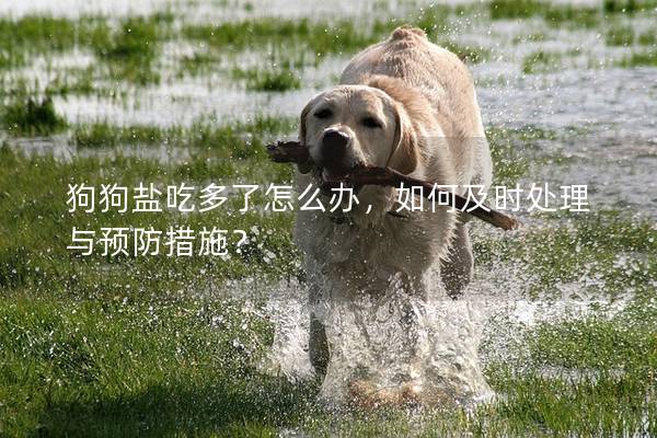 狗狗盐吃多了怎么办，如何及时处理与预防措施？