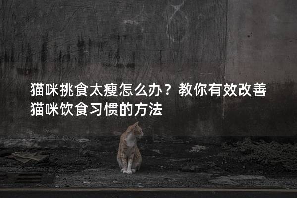 猫咪挑食太瘦怎么办？教你有效改善猫咪饮食习惯的方法