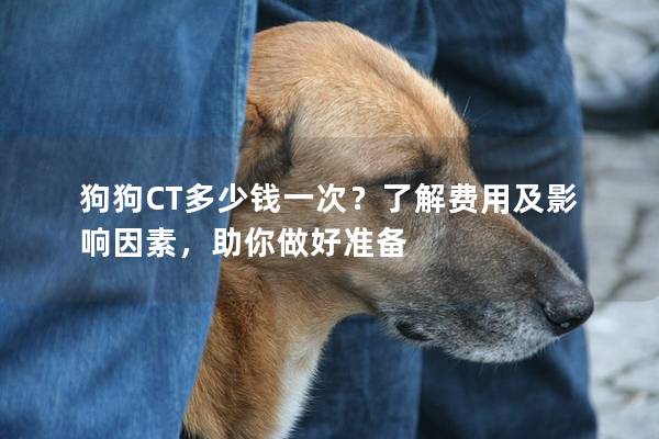 狗狗CT多少钱一次？了解费用及影响因素，助你做好准备