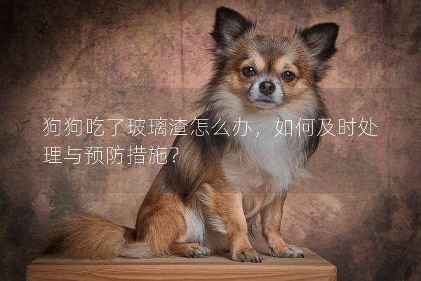 狗狗吃了玻璃渣怎么办，如何及时处理与预防措施？