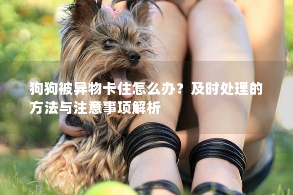 狗狗被异物卡住怎么办？及时处理的方法与注意事项解析