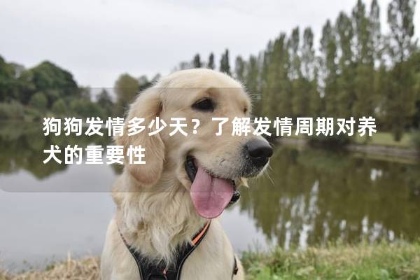 狗狗发情多少天？了解发情周期对养犬的重要性