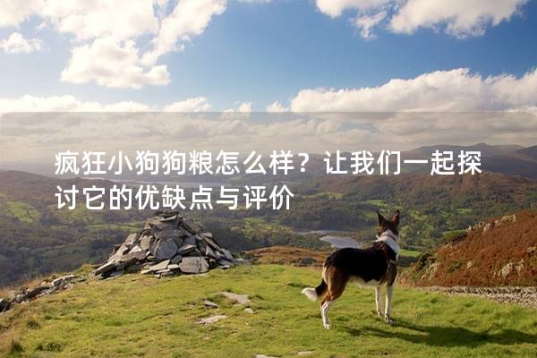 疯狂小狗狗粮怎么样？让我们一起探讨它的优缺点与评价